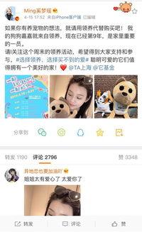 领养代替购买明星,明星倡导爱心养宠新风尚