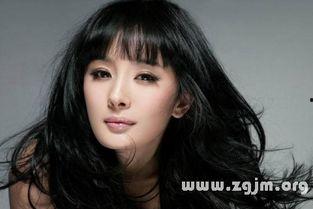 做梦到明星,我与明星的奇幻邂逅之旅