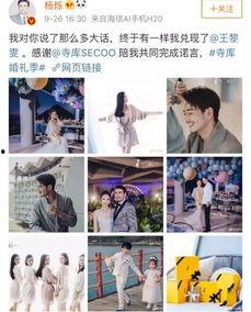 娱乐明星出轨小说,当明星遭遇出轨危机