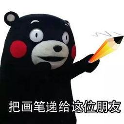 是会吃货的抬瓜,探寻美食的奇妙之旅