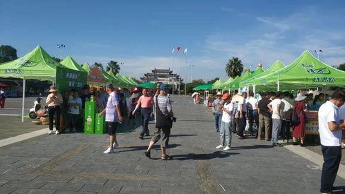 玉林农村今日头条,聚焦乡村发展，展现农村新面貌