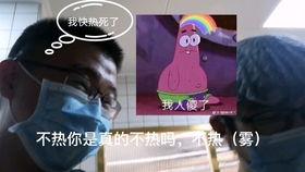 吃瓜小王同学在线观看免费,揭秘免费在线观看的幕后真相