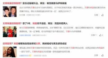 整顿娱乐圈爆料文章怎么写,揭秘幕后真相与影响