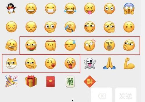 道具 狗头吃瓜,揭秘宠物界的趣味瞬间