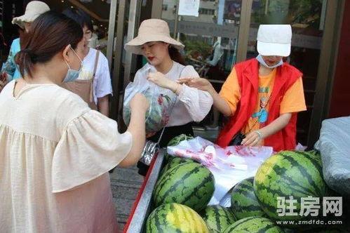 蓝澜在线吃瓜,揭秘娱乐圈吃瓜背后的真相与趣味