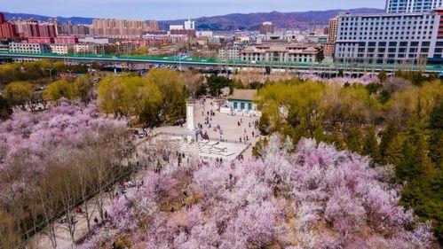 益阳网红打卡地图片全景,探寻城市新地标之美