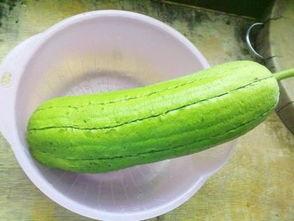 水瓜怎么炒猪肉吃,清新与醇厚的完美融合