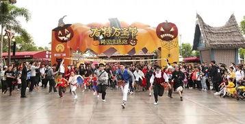 网红打卡景点方特,网红打卡景点的魅力探险记