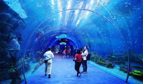 海洋赛季爆料视频下载,视频爆料背后的精彩瞬间