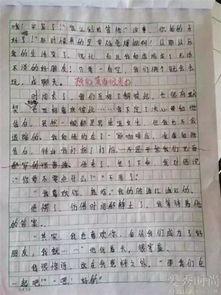 描写采访明星的作文