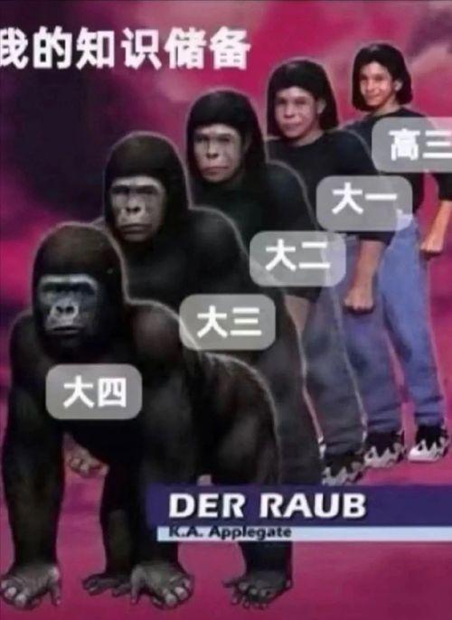 网红梗图2022,年度热门表情包大盘点