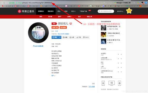 头条录音怎么添加音乐,音乐融合新篇章