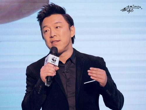 黄渤算几线明星,跨越一线界限的璀璨明星