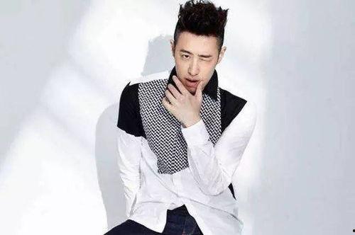 矮帅明星,魅力四溢的“小巨人”风采