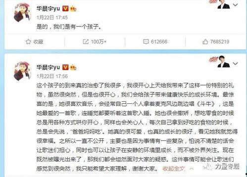 明星大瓜文件,明星大瓜文件深度解析