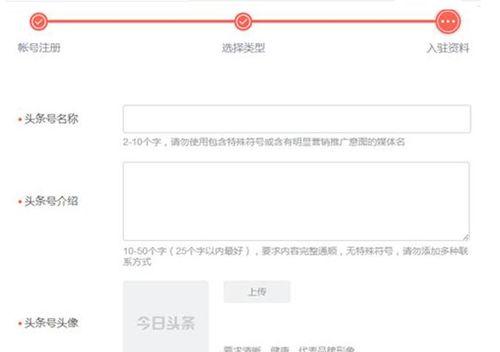 头条账号的名字,[账号名字]背后的故事与影响力