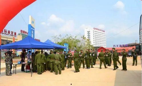 今日头条龙州路,探寻城市繁华与宁静交融的美丽风景线”